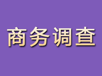 石嘴山商务调查