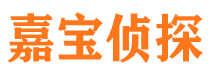 石嘴山市私家侦探